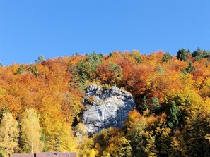 Unclassified image, 5 of 31, button