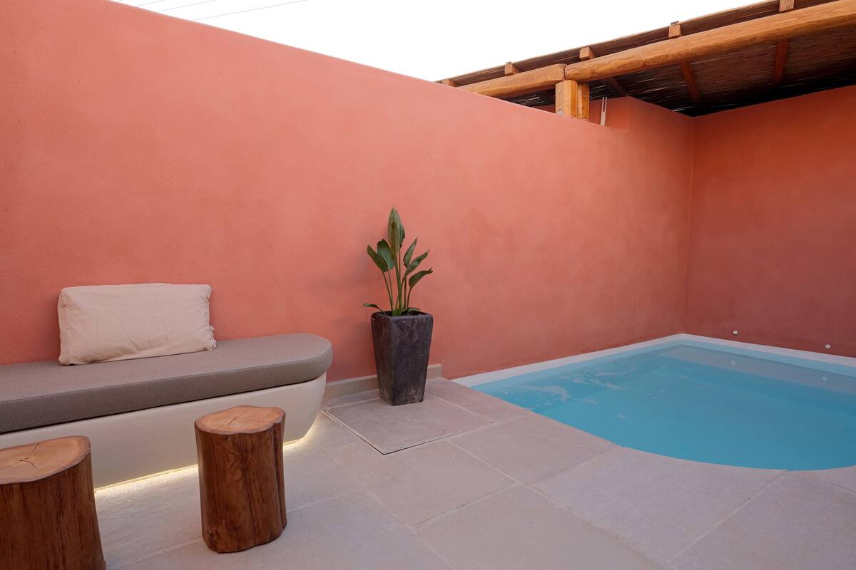 A pool area with a bench and a potted plant.
