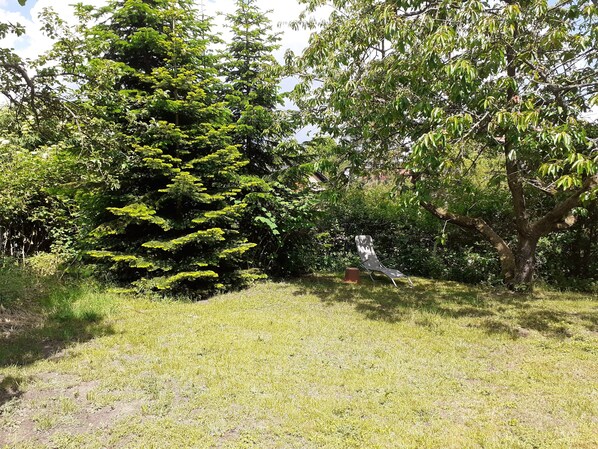 A grassy outdoor area with a metal chair and a tree.
