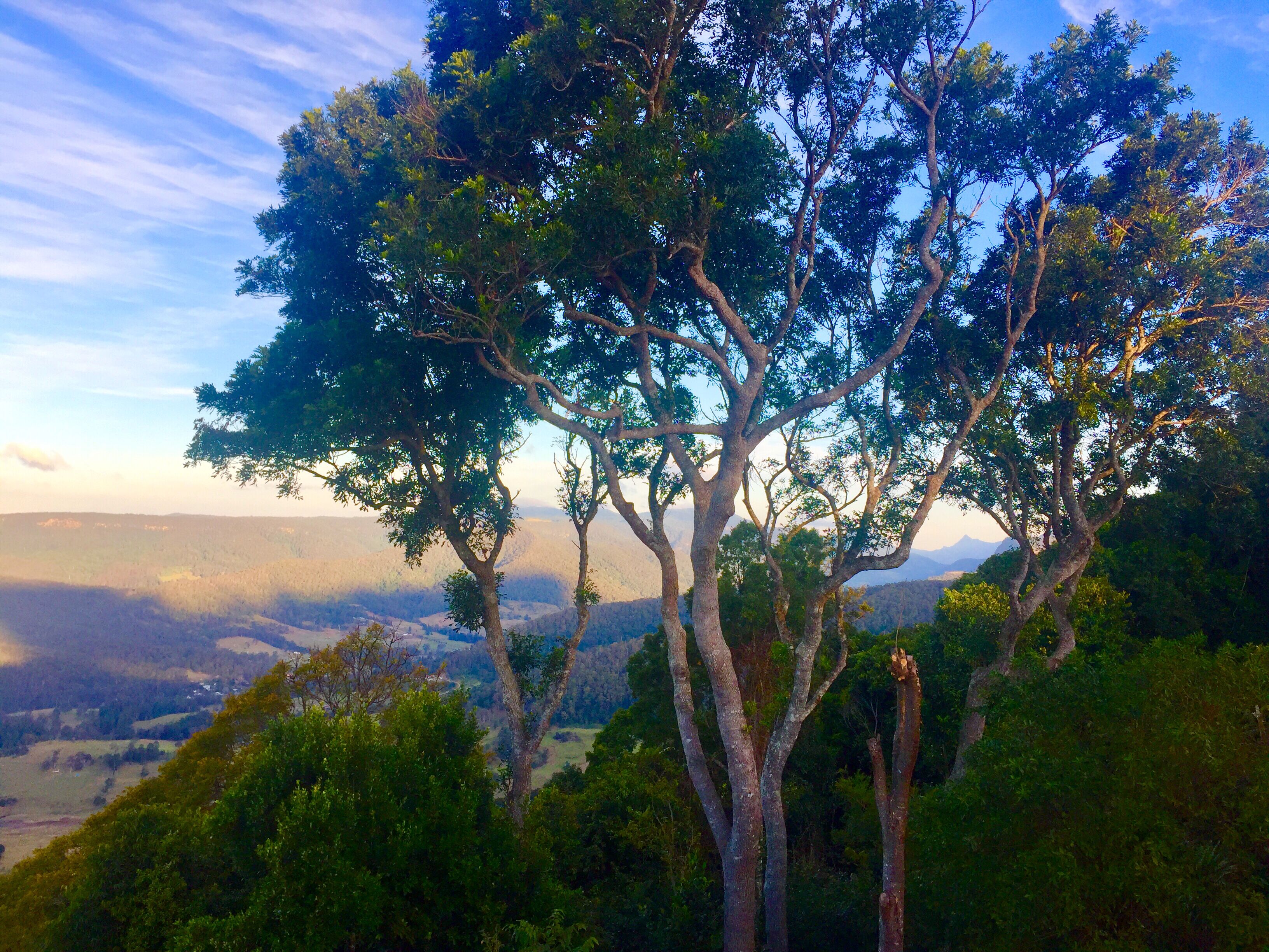 Romantic Mountain Top Cabin - A Dreamy Escape — image 29