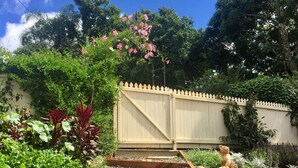Un jardin avec une clôture en bois, des pas japonais et diverses plantes.