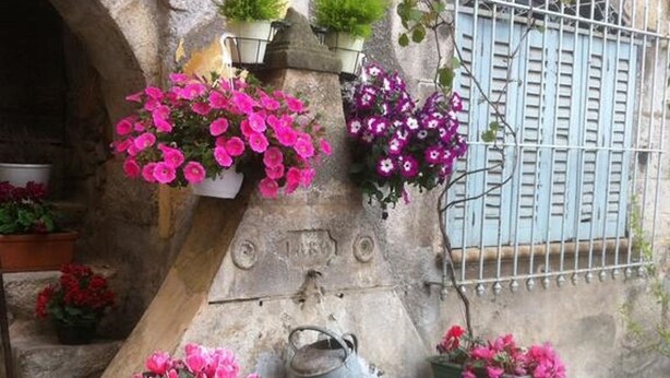Una font de pedra amb testos de flors i una regadora de metall.