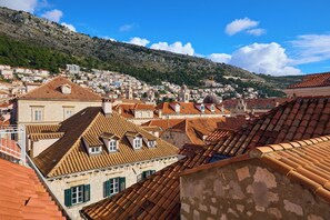 Apartamento (1 Bedroom) | Vista para a cidade