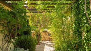 A stone pathway leading through a lush garden with a pergola overhead. - Hedera Estate, House Hedera (Dubrovnik)