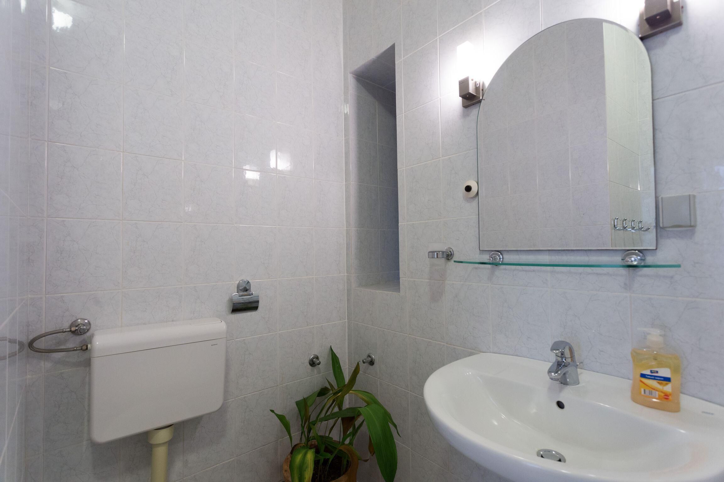 Un baño con inodoro, lavamanos, espejo y una planta en maceta.