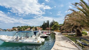 A marina with boats docked, a pathway, and a palm tree. - Villa Florence - Mediterranean Garden&pool (Dubrovnik)