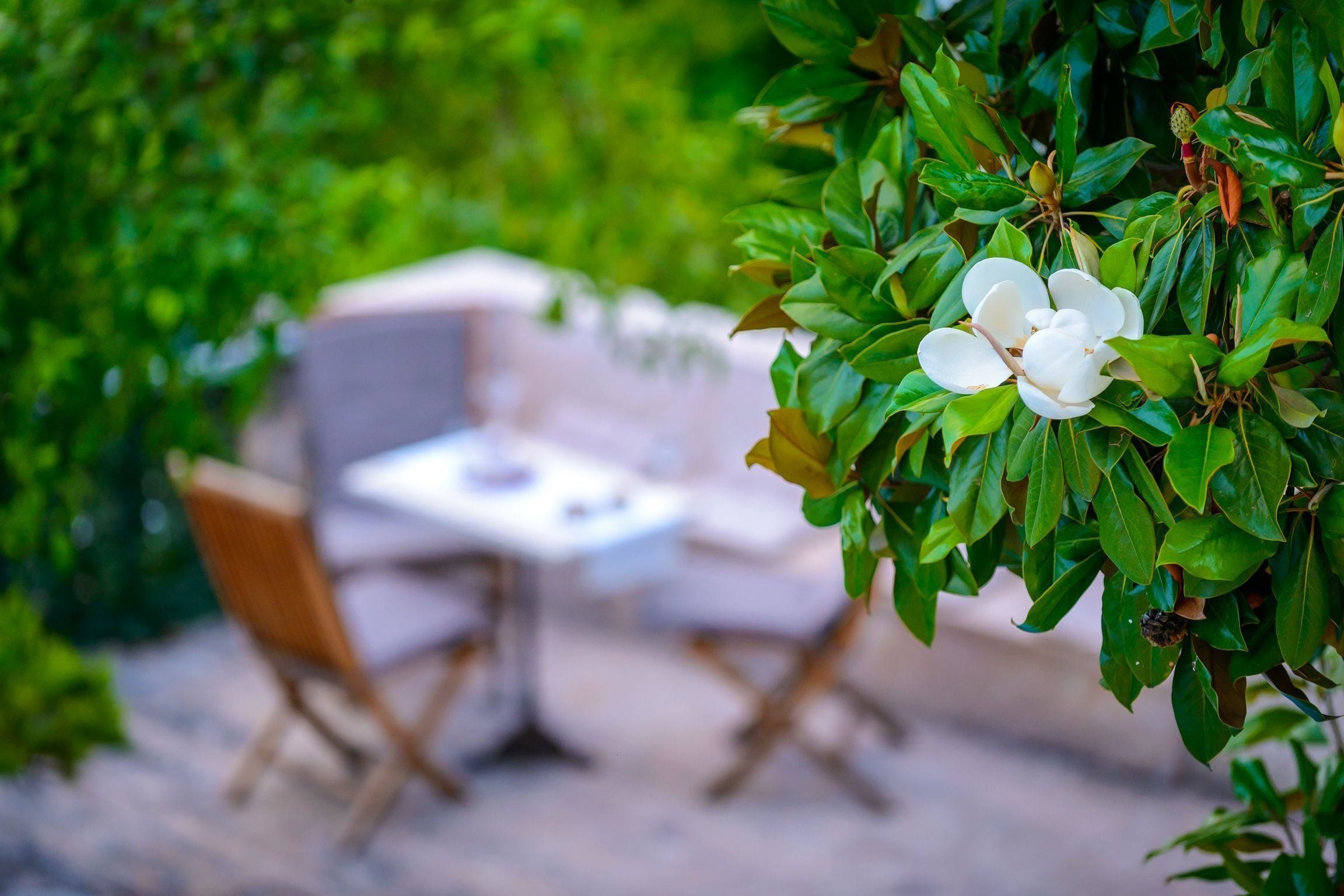 Foto - Villa Donna Paola