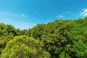 Exterior - Hedera Estate, Hedera A1 (Dubrovnik)