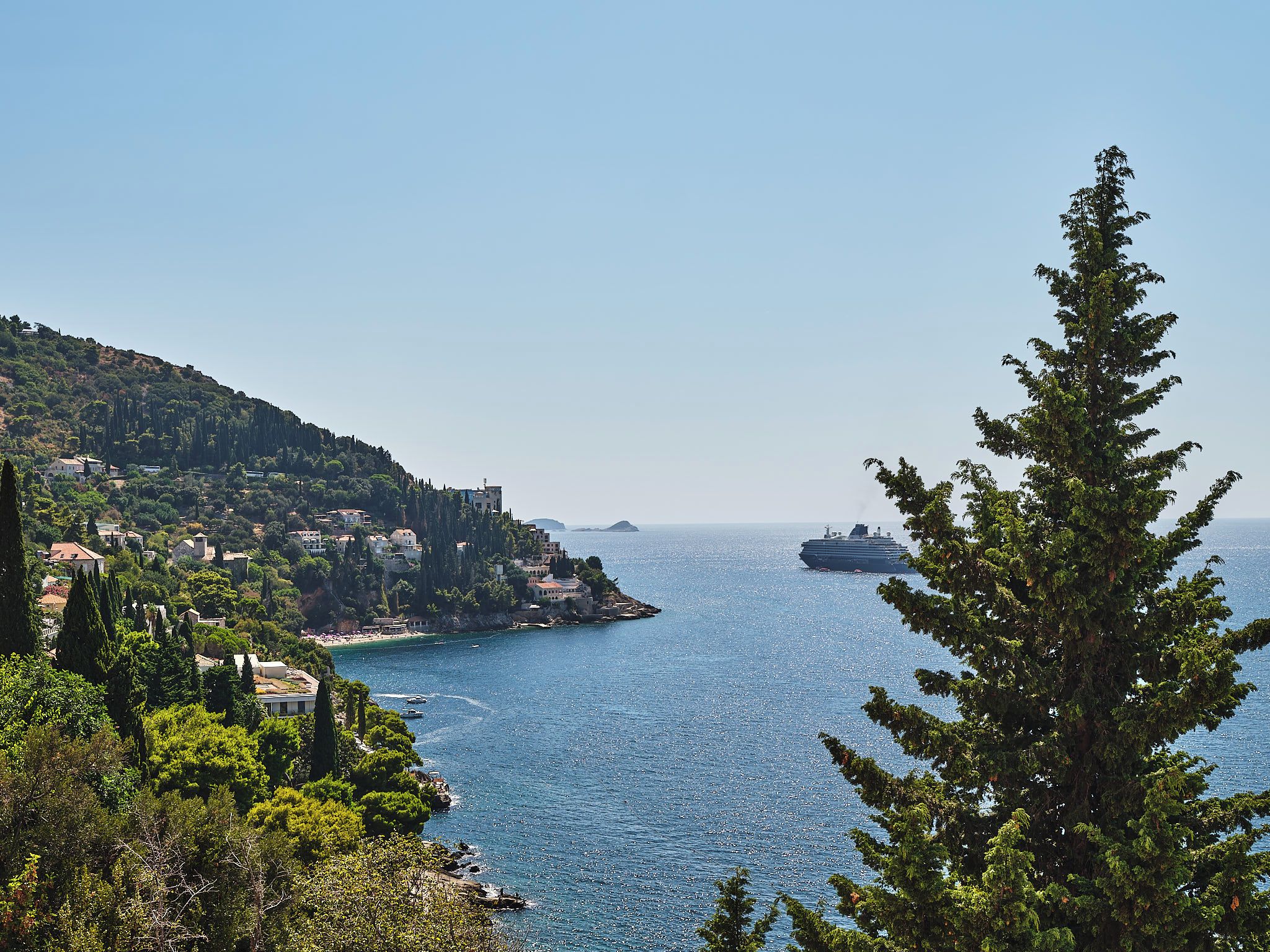 A coastal town with buildings on a hillside overlooking the sea, a cruise ship in the distance, and a prominent evergreen tree in the foreground.