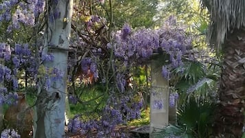 Blick auf den Garten