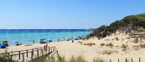 Navette pour la plage