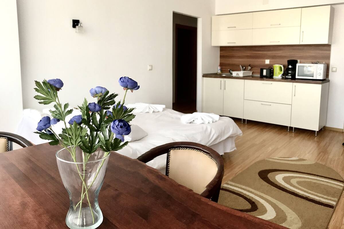 Apartment | Minibar, desk, iron/ironing board (on request), WiFi (free)