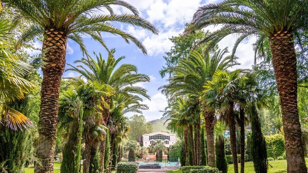 A pathway lined with palm trees leading to a building with a modern architectural design.