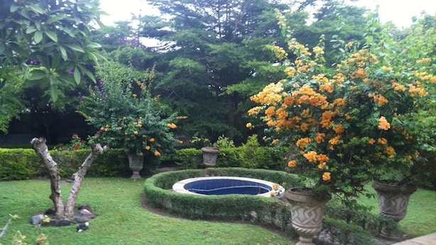 Jardin