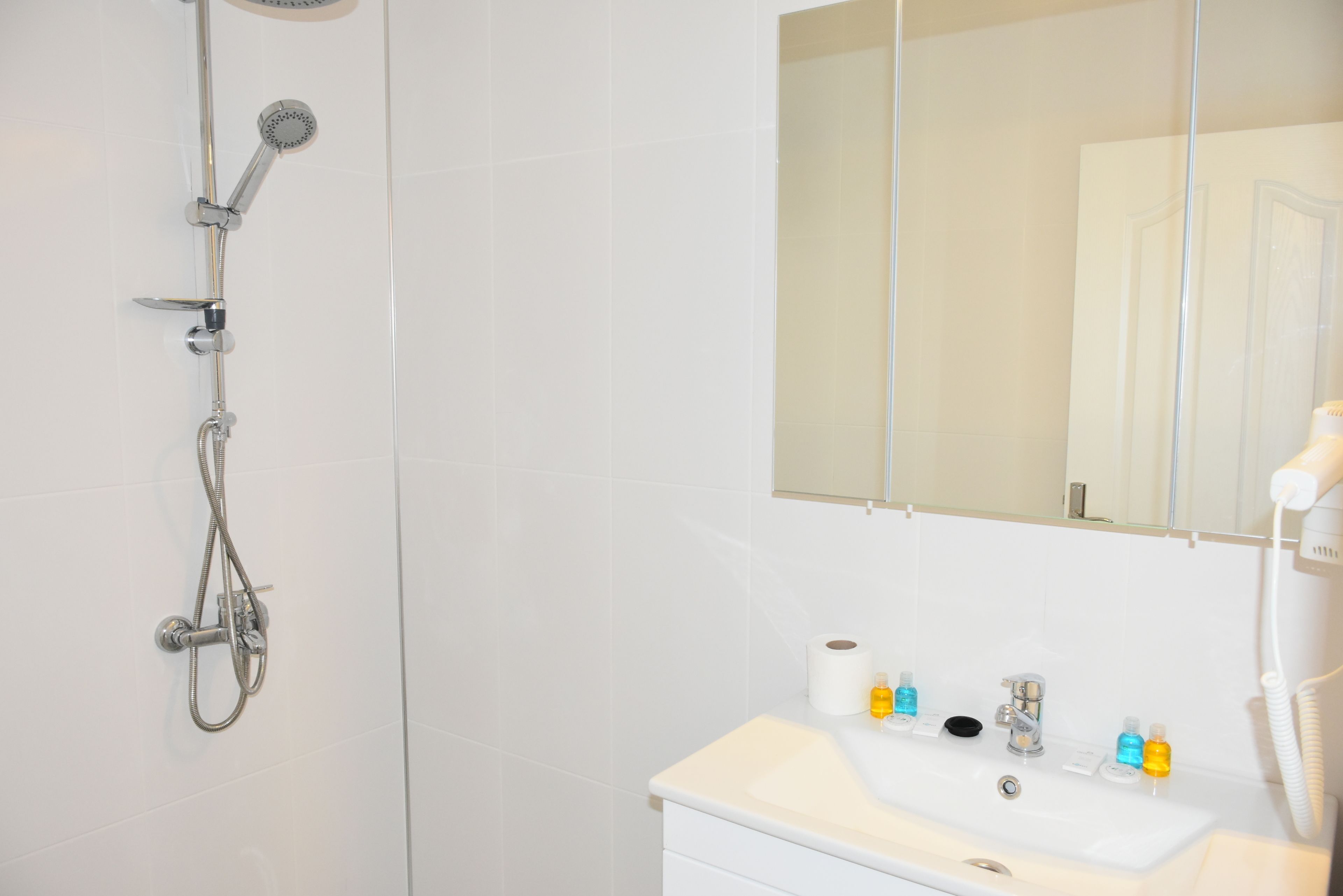 shower, rainfall showerhead, free toiletries, hair dryer