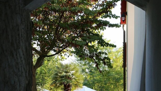 Een gebogen deuropening leidt naar een tuin met een palmboom en een witte parasol.