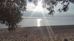 Plage à proximité, bar de plage