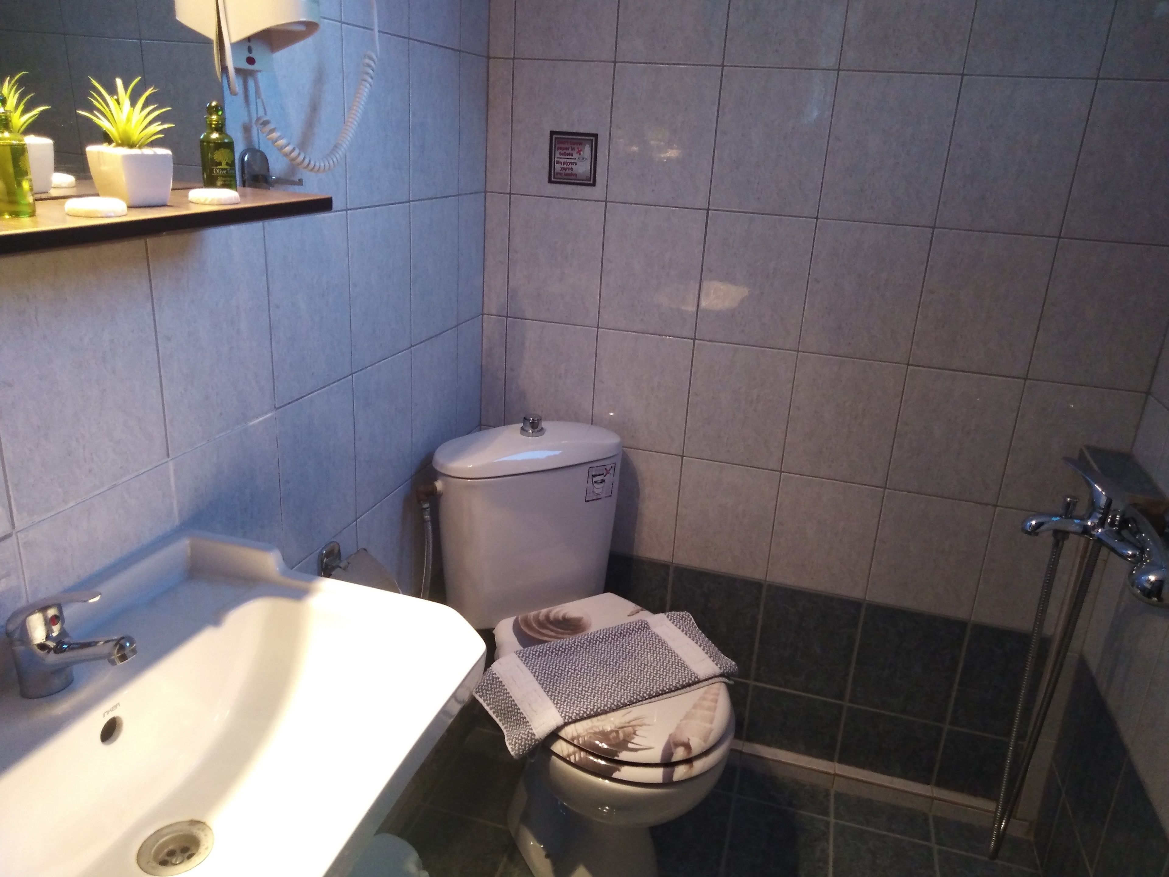 Un baño con lavamanos, inodoro y ducha blancos. Hay plantas en macetas sobre un estante encima del lavamanos.