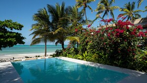 Une piscine entourée d’une végétation luxuriante et de palmiers, offrant une vue sur la plage et l’océan.