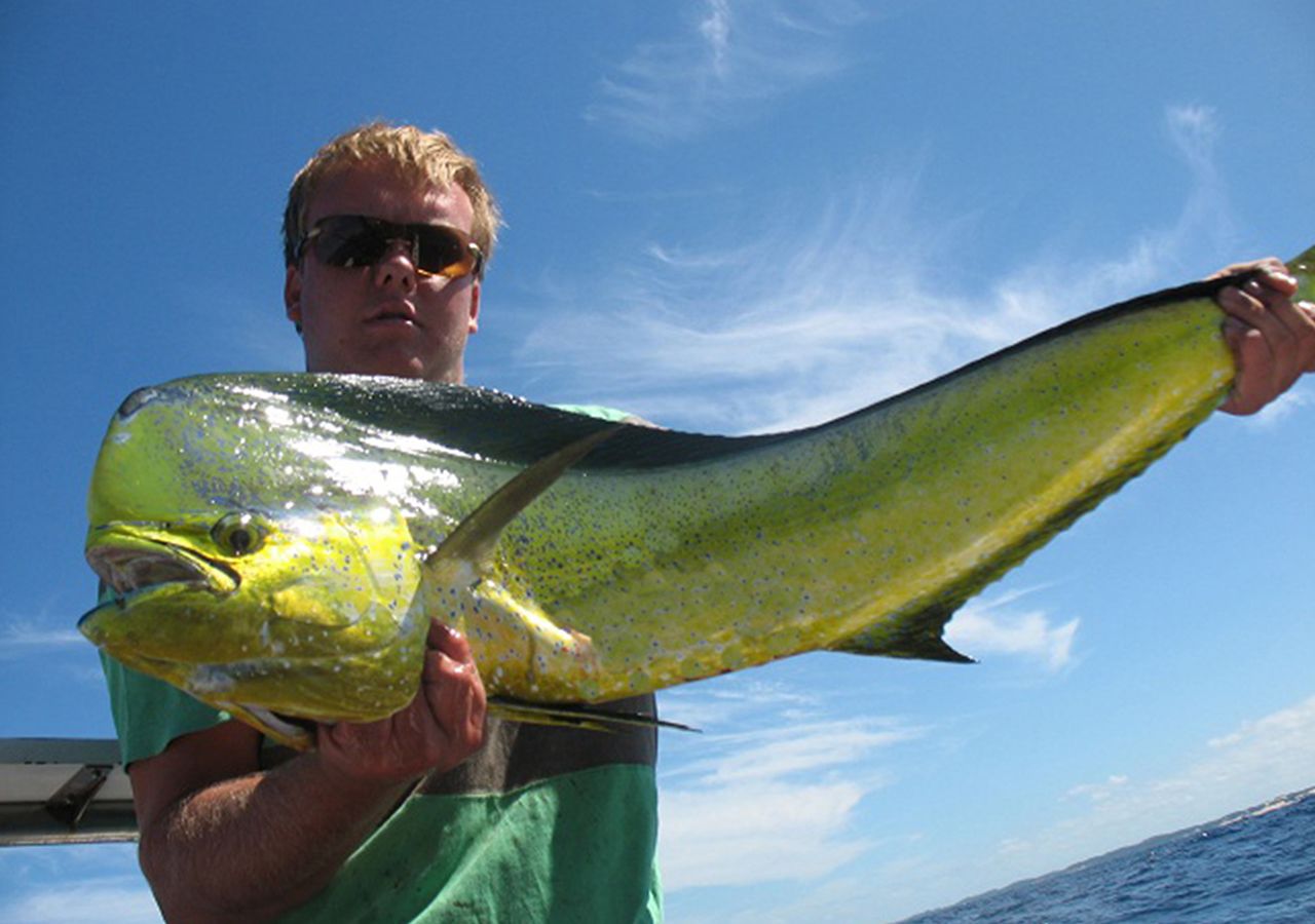 Une personne tenant un gros poisson.