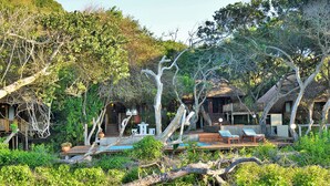 A rustic outdoor setting with thatched-roof structures, wooden decks, and lounge chairs. - Cabo Beach Villas (Machangulo)