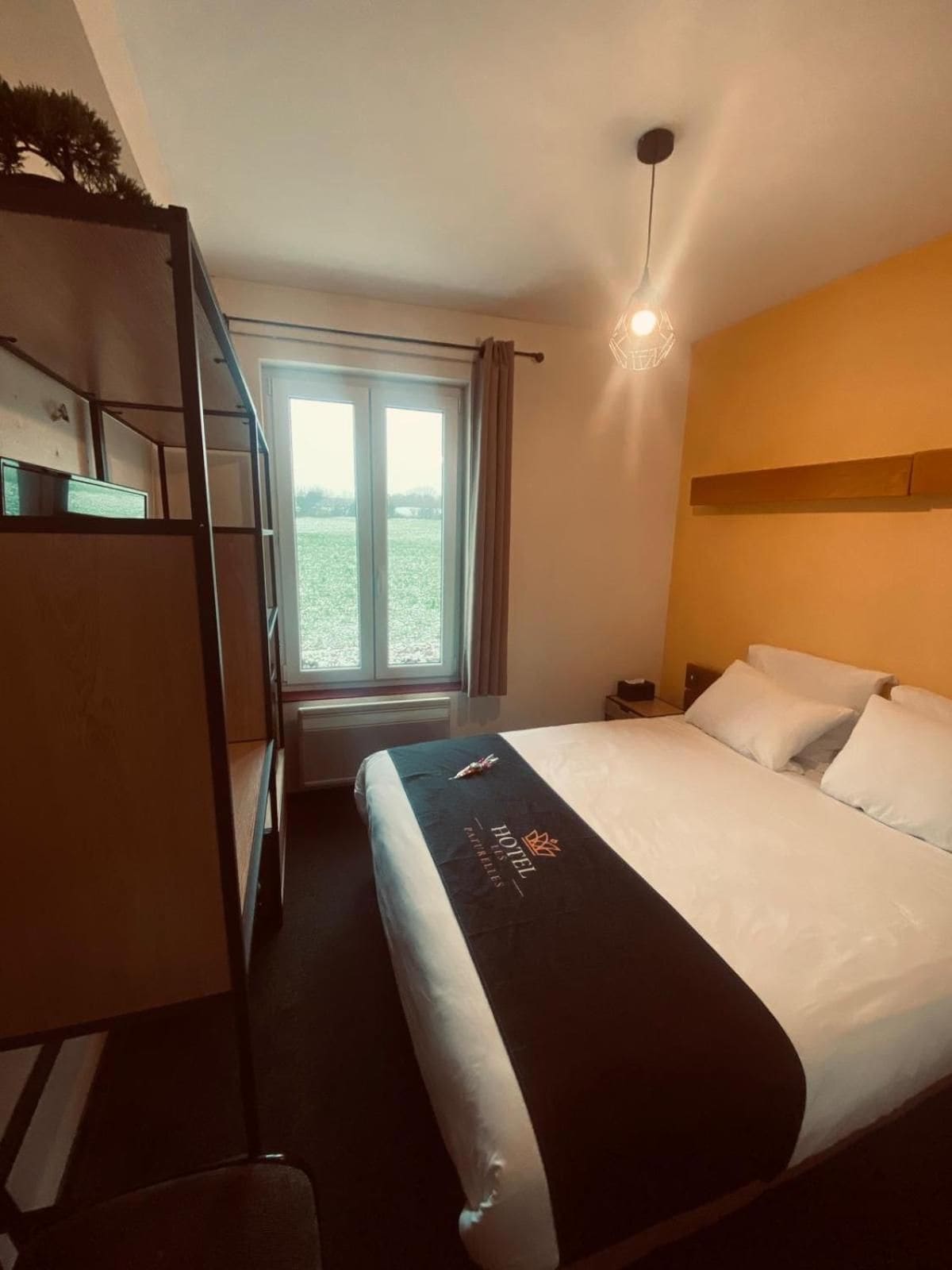 A hotel room with a bed, a desk, a chair, a wardrobe, and a window with a view.