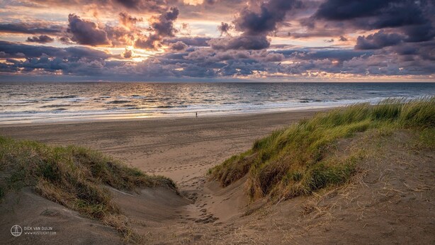 A beach with sand dunes and a person walking. - Holiday summer style house, family or couple. With privacy/little garden/ sea (Noordwijk aan Zee)