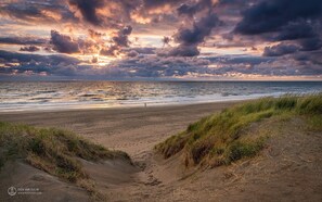 A beach with sand dunes and a person walking. - Holiday summer style house, family or couple. With privacy/little garden/ sea (Noordwijk aan Zee)