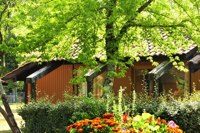 Quiet room for 2, swimming pool, tennis court, nature