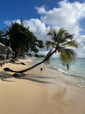 Una playa con una palmera inclinada sobre la arena, un paseo de madera y un edificio con un letrero que dice "Overlook".