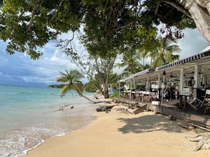 Un restaurant situé en bord de mer, avec une terrasse, des palmiers et une vue sur l’océan.