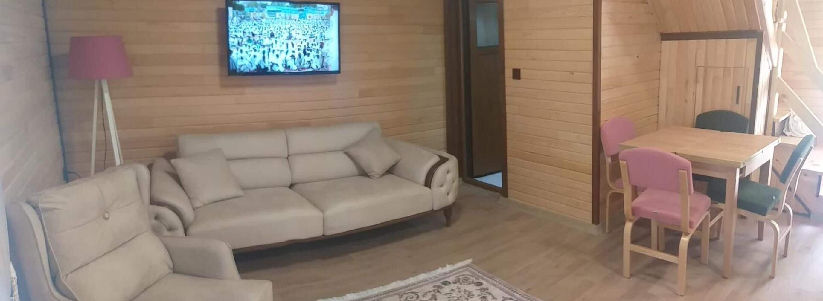 102-inch flat-screen TV with satellite channels, TV, video-game console