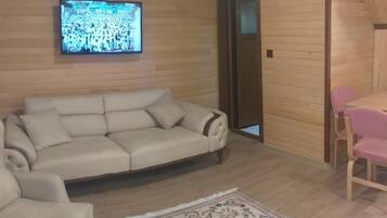 102-inch flat-screen TV with satellite channels, TV, video-game console