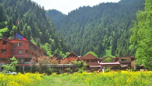 A cluster of wooden cabins with a mountain backdrop, surrounded by a field of yellow flowers. - Dilek Suit & Cafe (Çaykara)