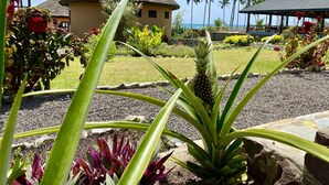 Un resort tropical con edificios de techo de paja, un jardín cuidado y vistas al océano.