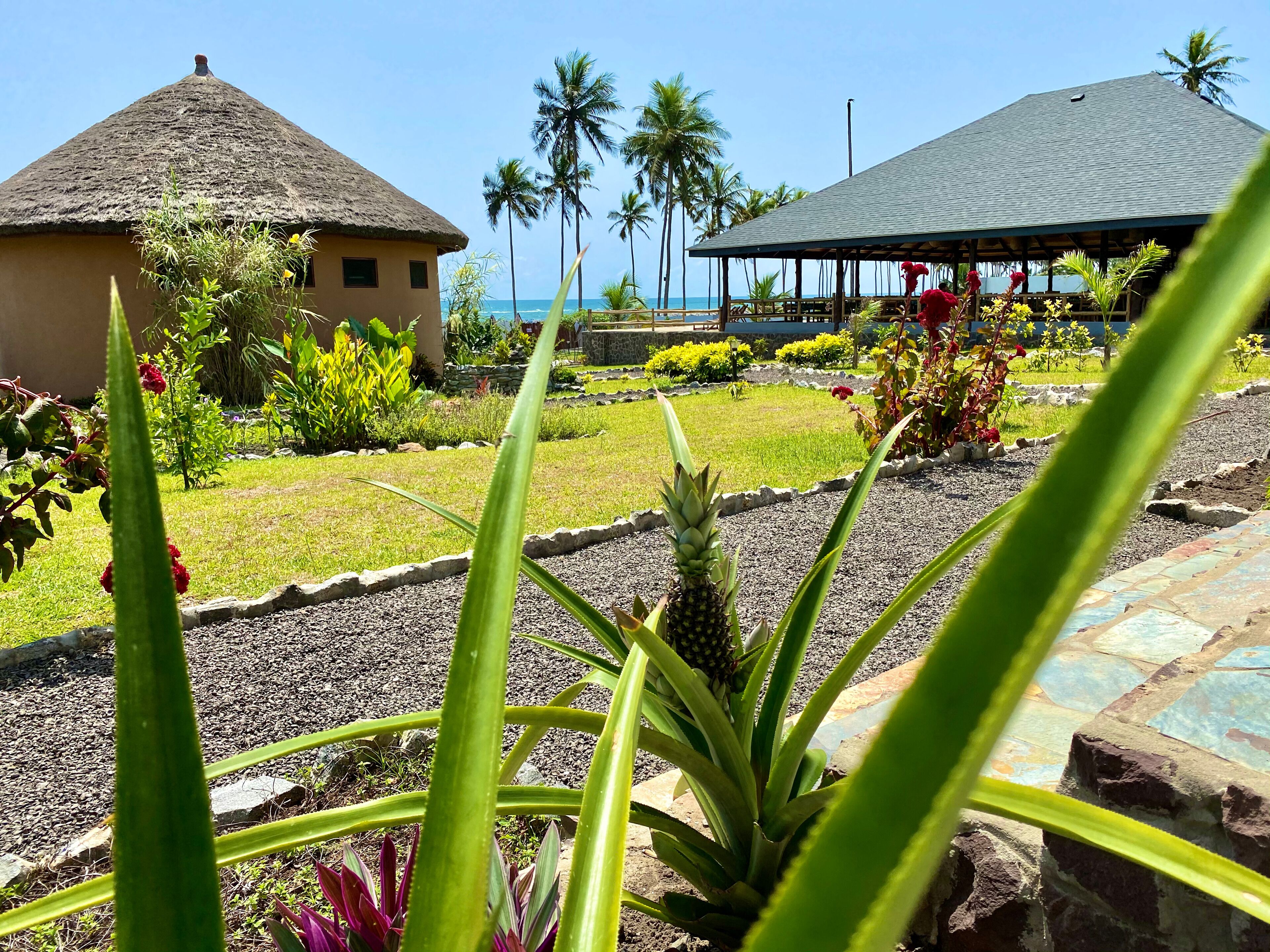 Un complexe hôtelier tropical doté d’un chalet au toit de chaume, d’un pavillon abrité et d’un jardin bien entretenu, agrémenté d’une pièce maîtresse en forme d’ananas.