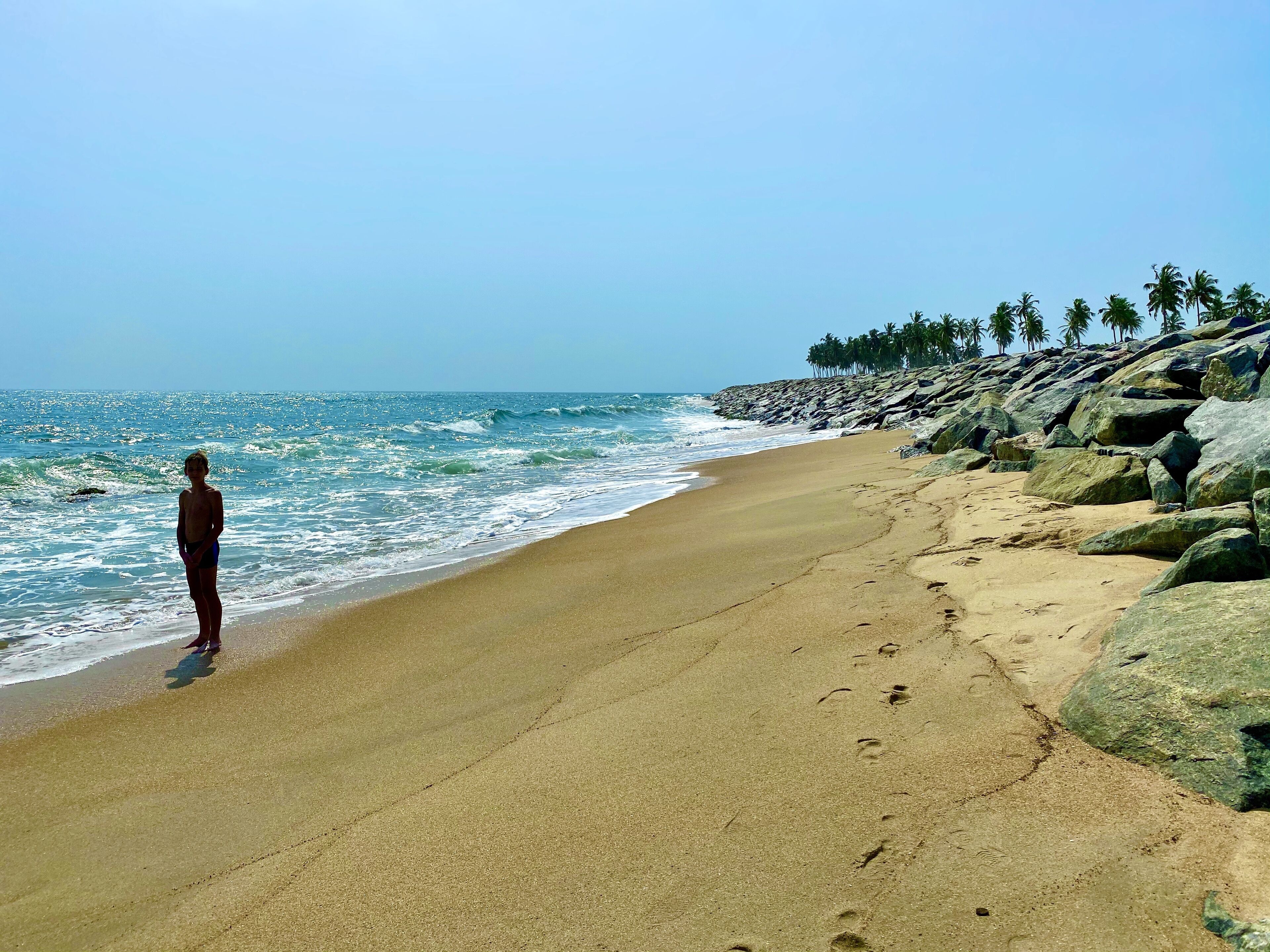 Una playa con costa rocosa y palmeras.