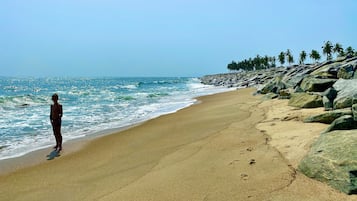 Una playa con costa rocosa y palmeras.