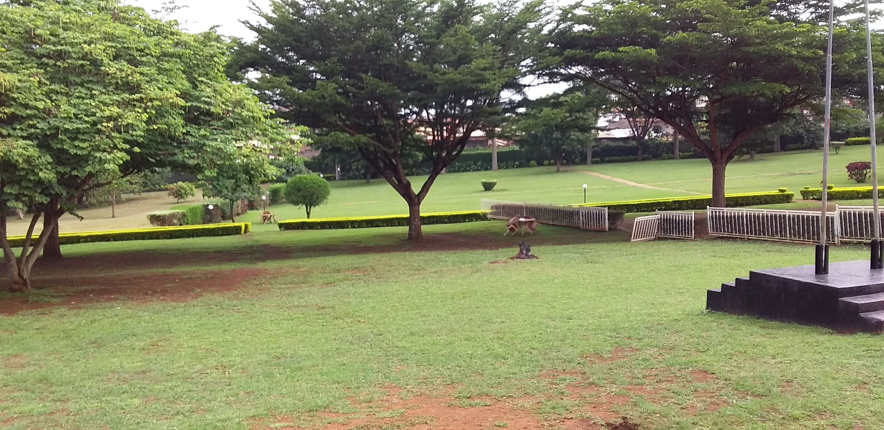 A park with a grassy area, trees, a bench, and a small stage.