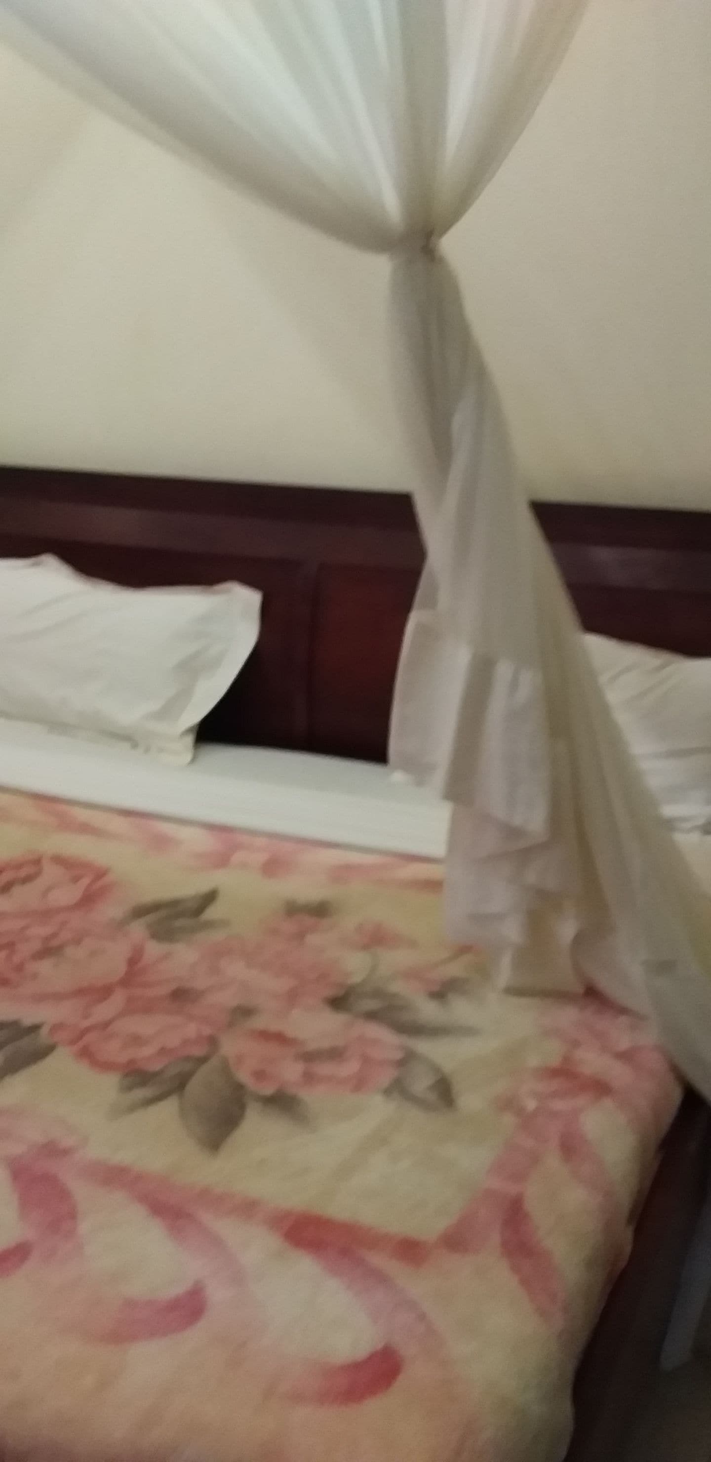 Un lit avec une couvre-lit à motifs floraux et un baldaquin.