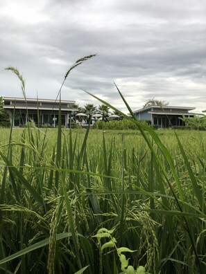 Property grounds - Milin Villa Resort Kanchanaburi (Kanchanaburi)