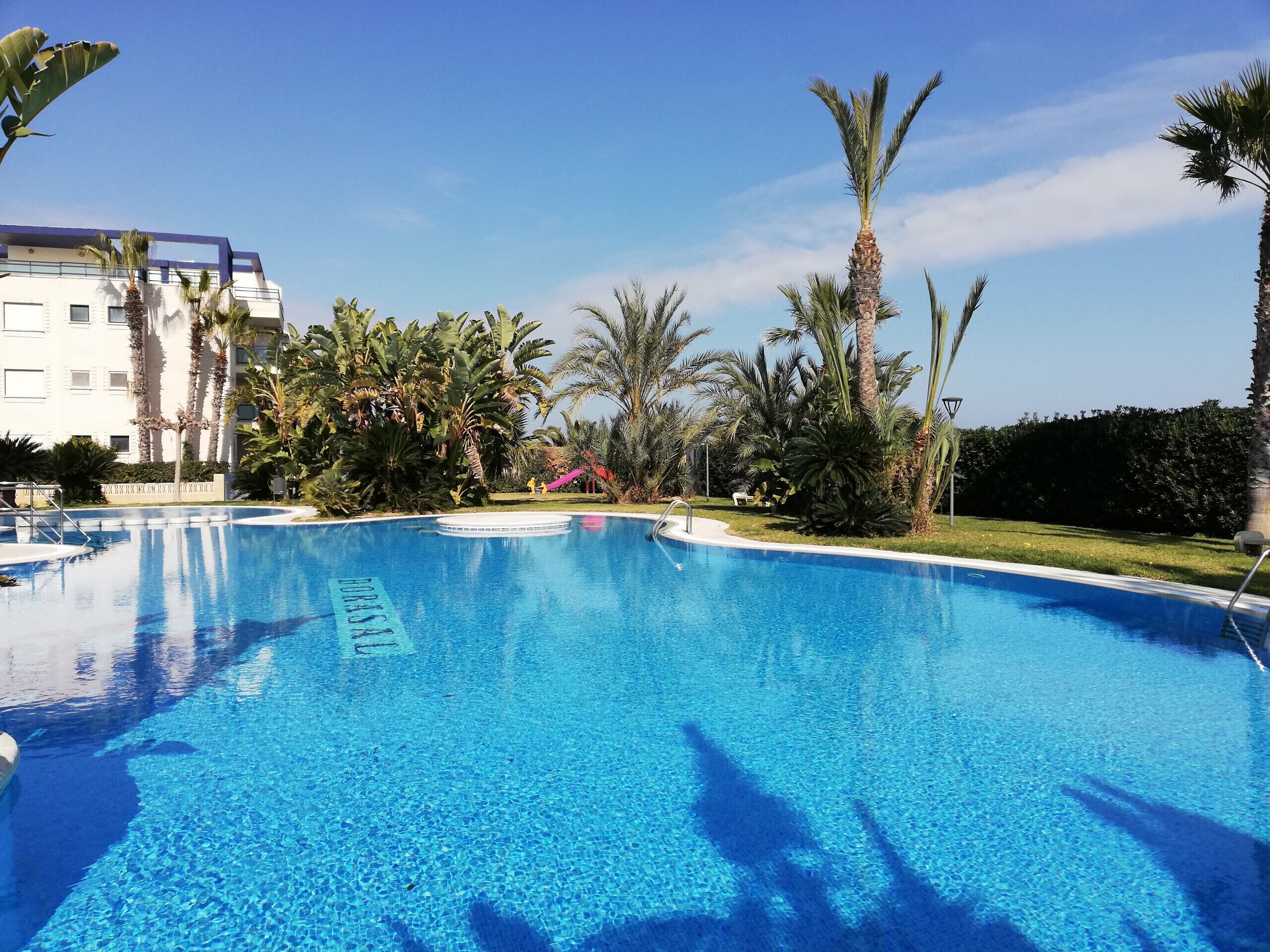 A clear blue pool surrounded by palm trees and a building with balconies.