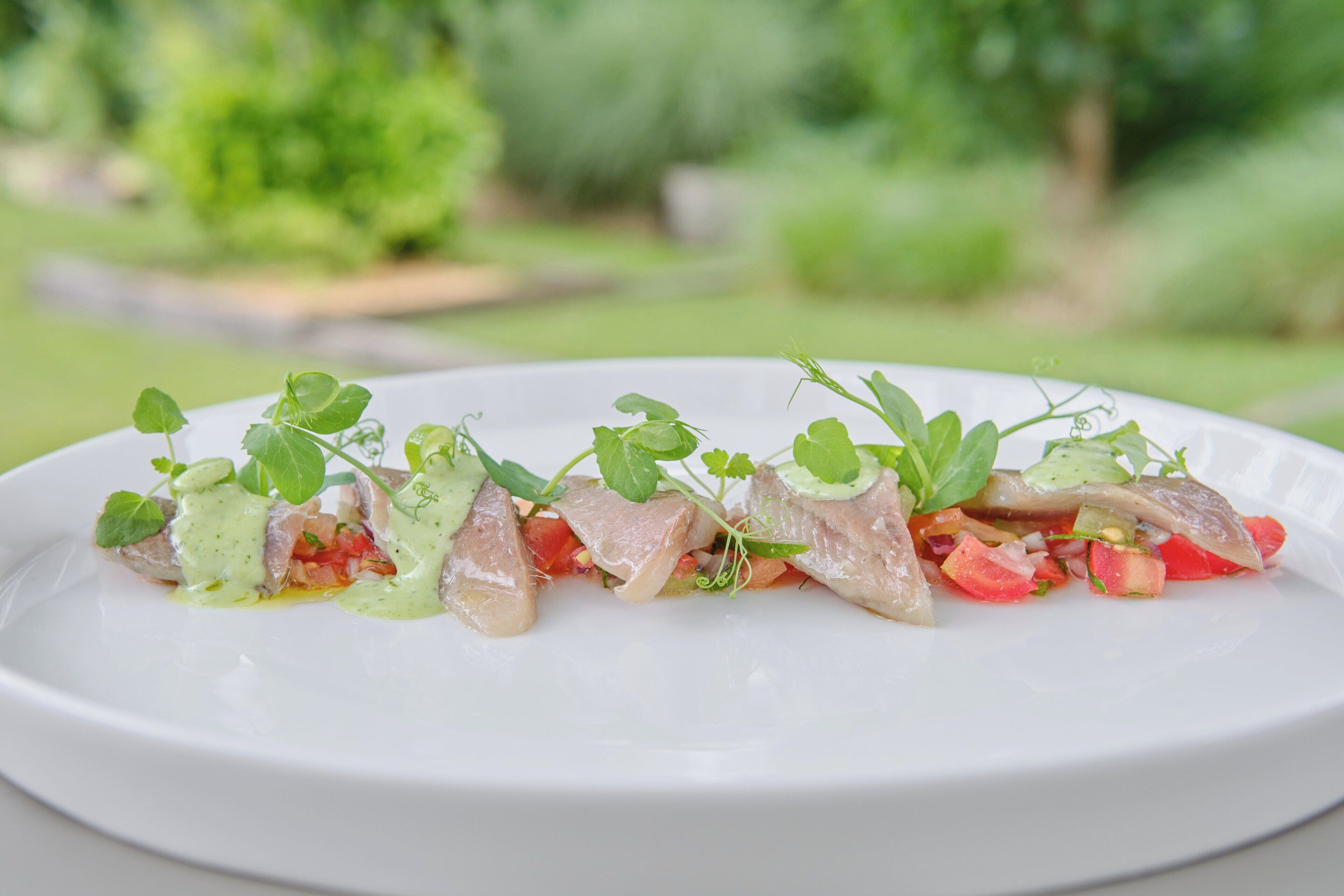 A white plate with a seafood dish garnished with herbs, set against a blurred green background.