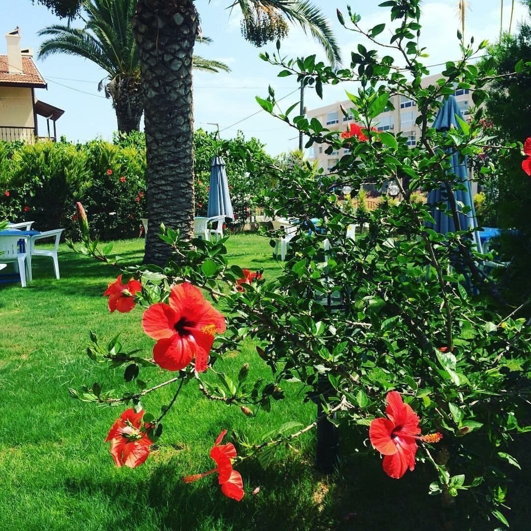 Zona de juegos infantil al aire libre