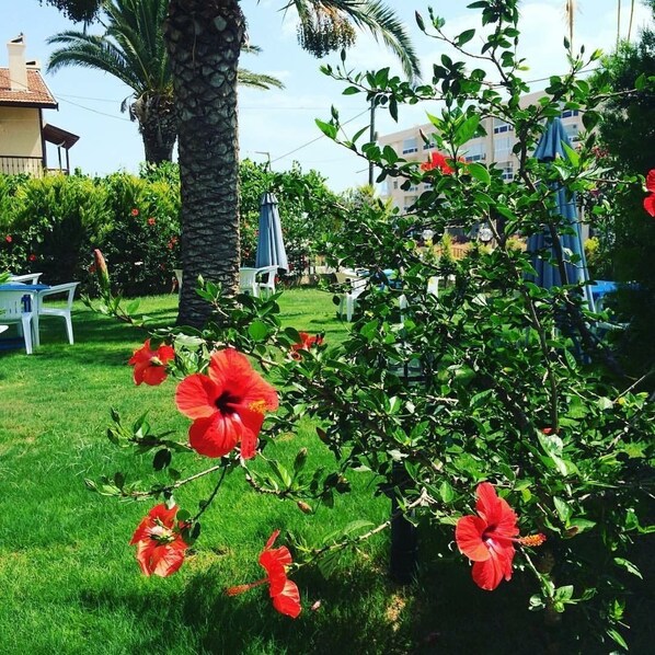 Aire de jeux - extérieure