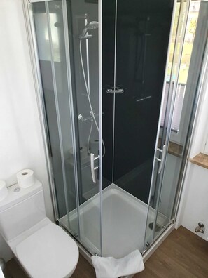 A glass-enclosed shower stall with a white toilet and a roll of toilet paper beside it. - Apartment 3 - Apartment house Roland (Strobl)
