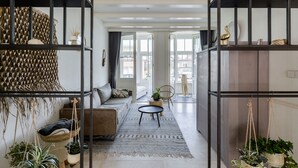 Un salon moderne avec un canapé, une table basse et des plantes suspendues.