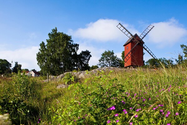 Un moulin à vent rouge, perché sur une colline verdoyante, avec des fleurs sauvages et des arbres en arrière-plan.