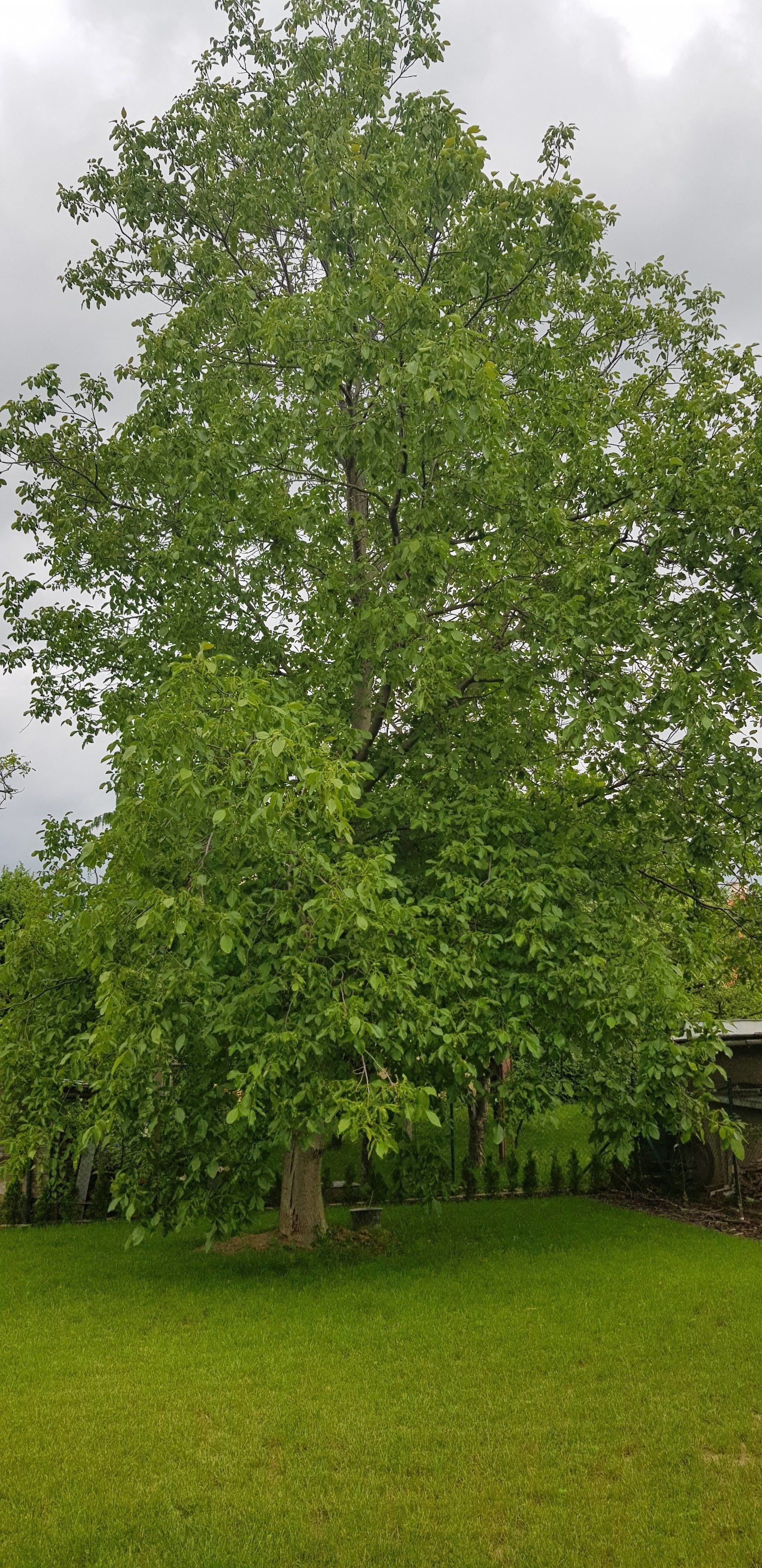 Exclusive-lejlighed | Udsigt fra værelset