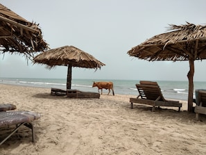 Servicio gratuito de transporte a la playa, tumbonas y sombrillas